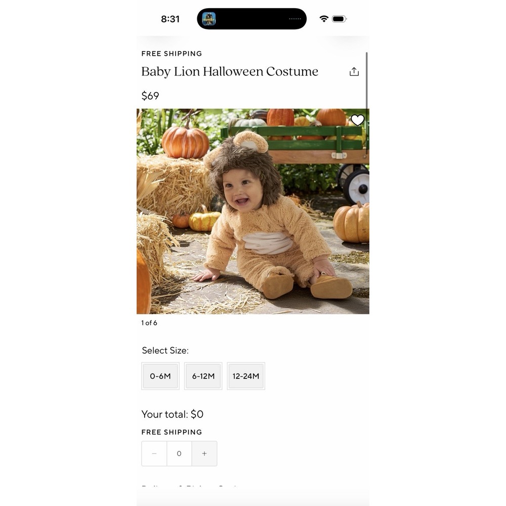 Pottery Barn Kids Lion Baby Halloween Costume Sizes 0-6 MOS. Only worn once